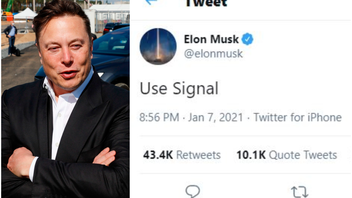 Why Elon Musk tweet in favor of the Signal App?